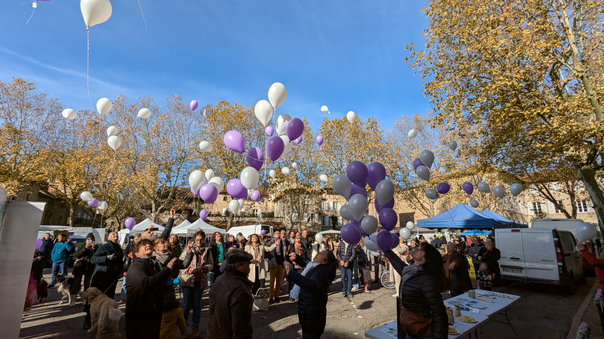 Laché De Ballons Affirmée 22 Nov 24 (66)