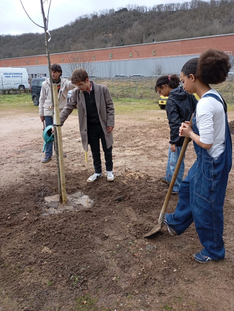 Plantation Arbre Secours Populaire 22 Janv 25 (6)