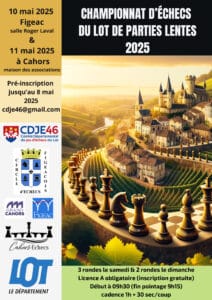 Copie de Black White Blue Bold Chess Poster