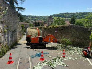 taille arbres jardin mairie (4)