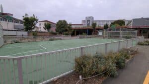 pxl_20250819_054935487.mp