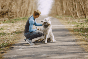 chien post fb