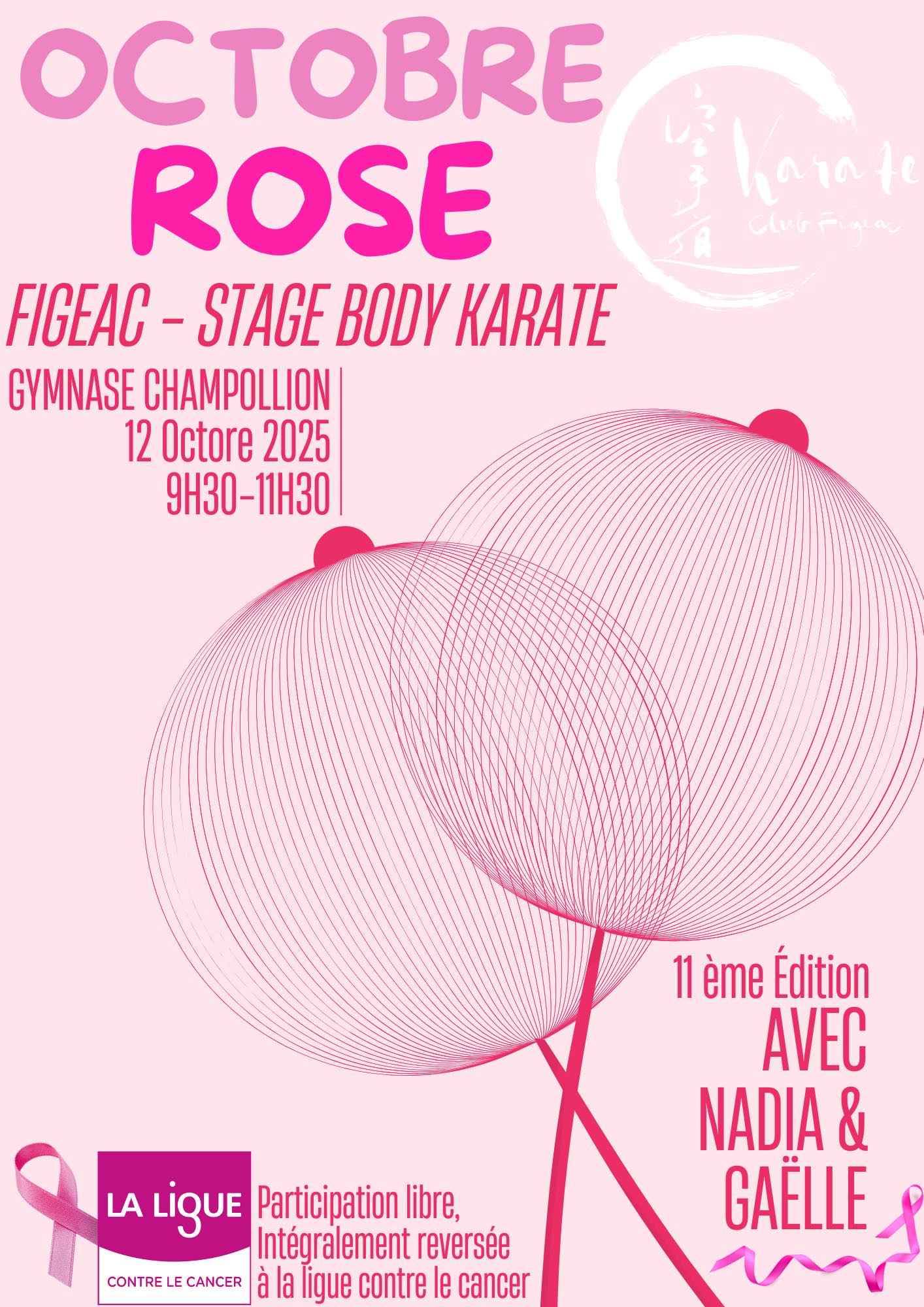 2025-Oct-Rose-Body-Karate-Ville-Figeac