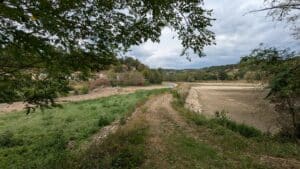 plan d'eau surgié vide aoput 2025 (43)