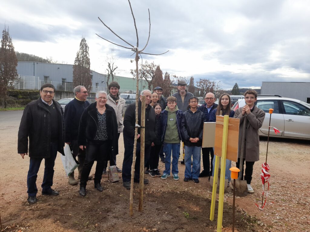Plantation Arbre Secours Populaire 22 Janv 25 (1)