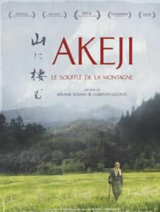 2025-akeji-ville-figac