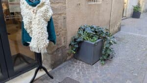 photos permis de planter 20 11 25 (12)