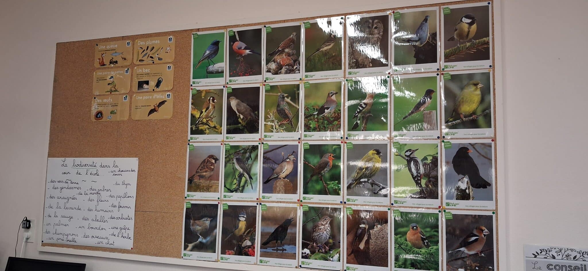 École Chapou Projet Refuge Lpo 04 12 2025 (4)