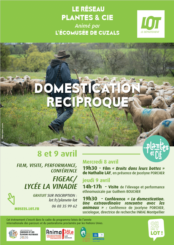 Capture D'Écran 2026-03-31 154451