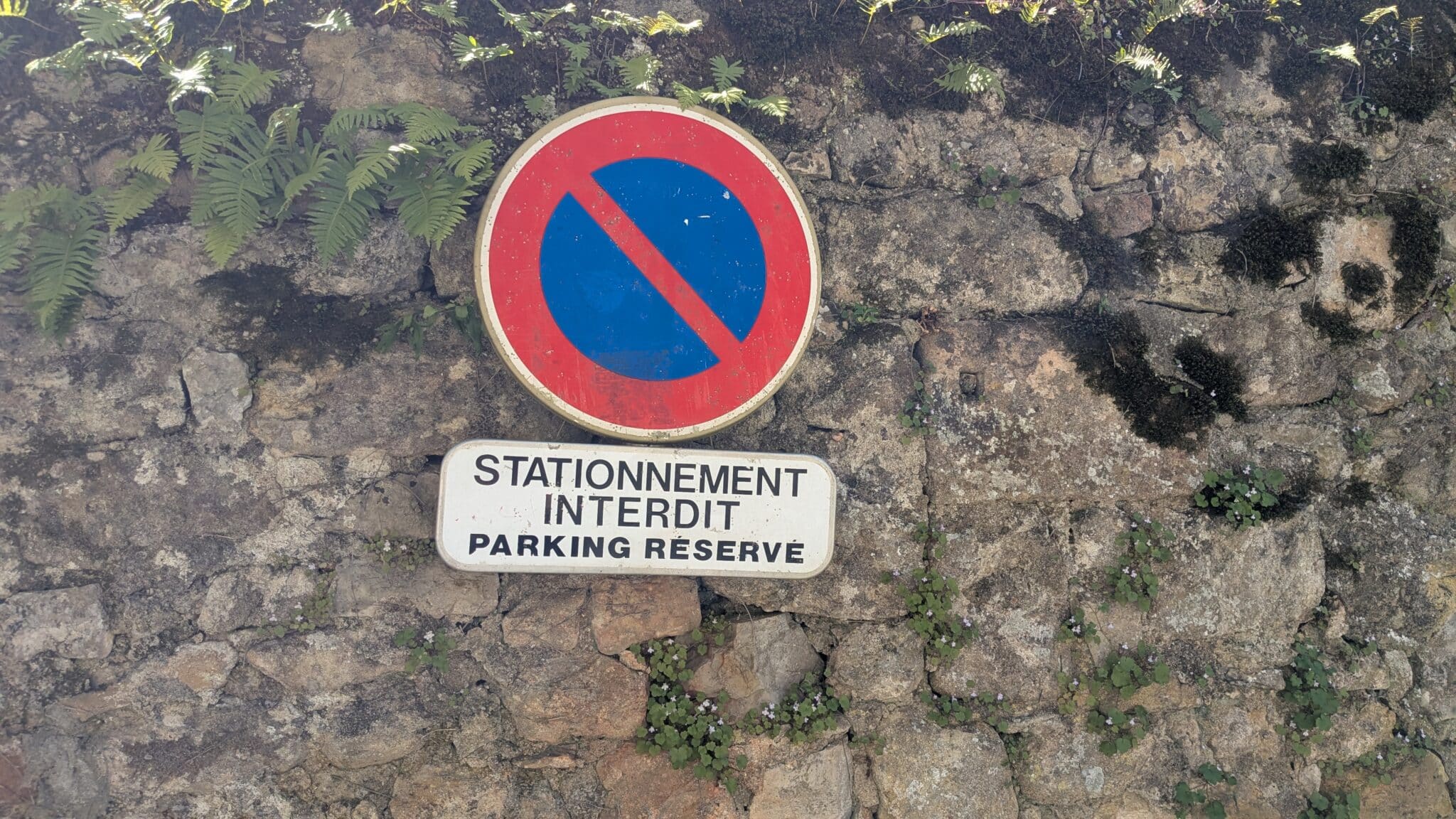 Pxl_20260415_130009233.Mp