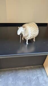 vitrine arts envies pour draille (10)