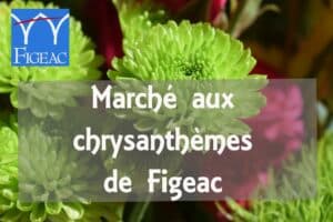 2021-image-marche-chrysanthemes-ville-figeac.fr