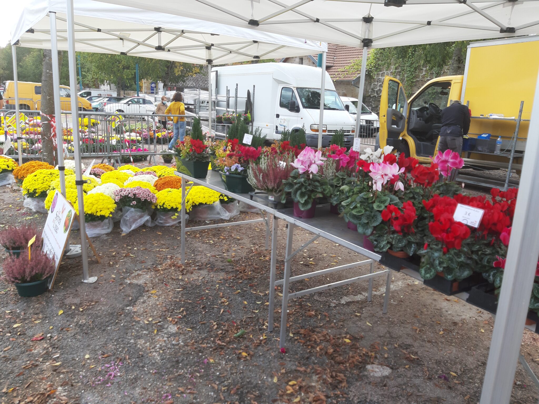 Marché Chrysanthèmes 2021 (15)