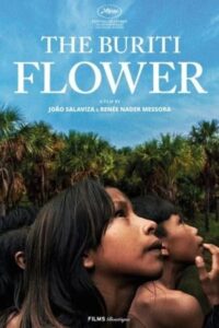 2024-cine-latino-fleur-buriti-ville-figeac